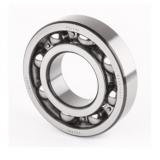 FAG 110HEDUH  Precision Ball Bearings