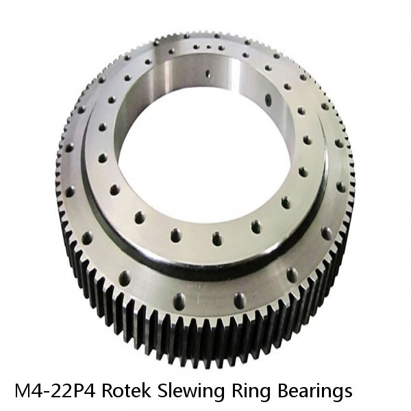 M4-22P4 Rotek Slewing Ring Bearings