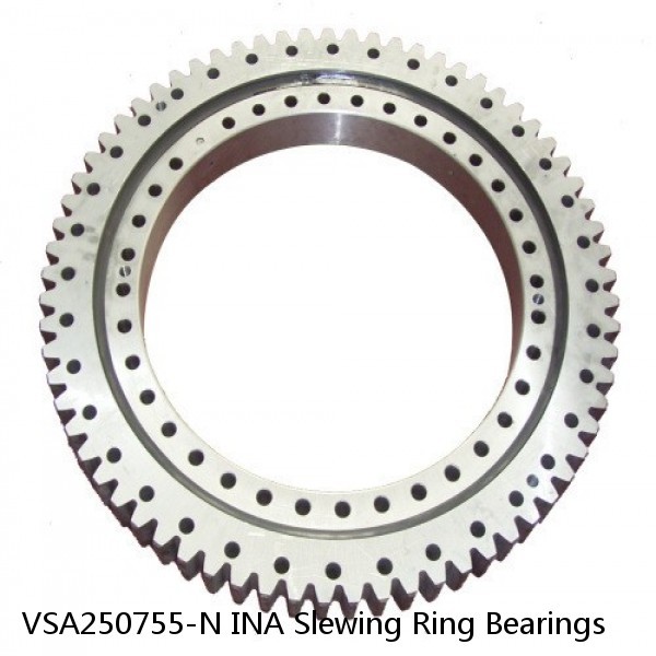 VSA250755-N INA Slewing Ring Bearings