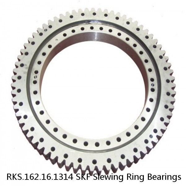 RKS.162.16.1314 SKF Slewing Ring Bearings