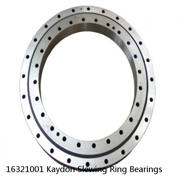 16321001 Kaydon Slewing Ring Bearings