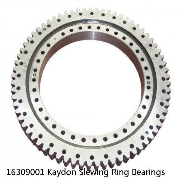 16309001 Kaydon Slewing Ring Bearings