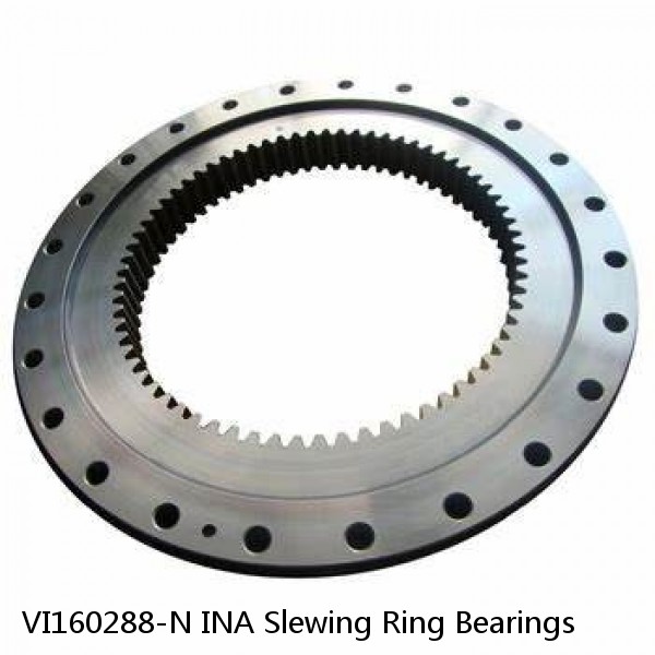 VI160288-N INA Slewing Ring Bearings