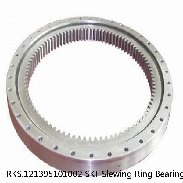 RKS.121395101002 SKF Slewing Ring Bearings