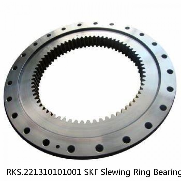 RKS.221310101001 SKF Slewing Ring Bearings