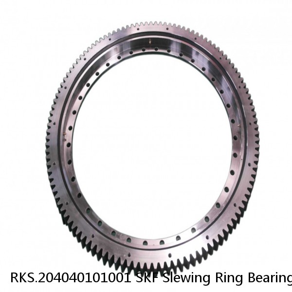 RKS.204040101001 SKF Slewing Ring Bearings