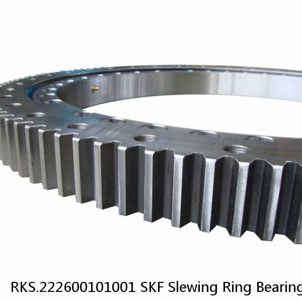 RKS.222600101001 SKF Slewing Ring Bearings