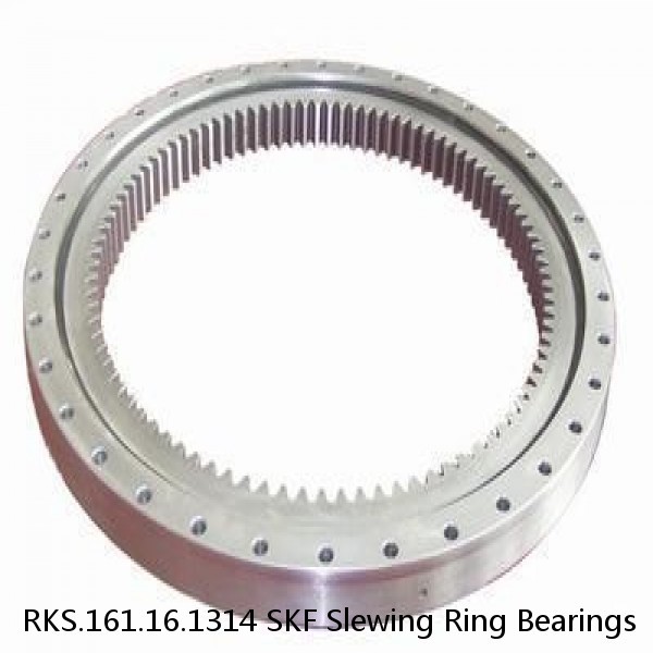 RKS.161.16.1314 SKF Slewing Ring Bearings