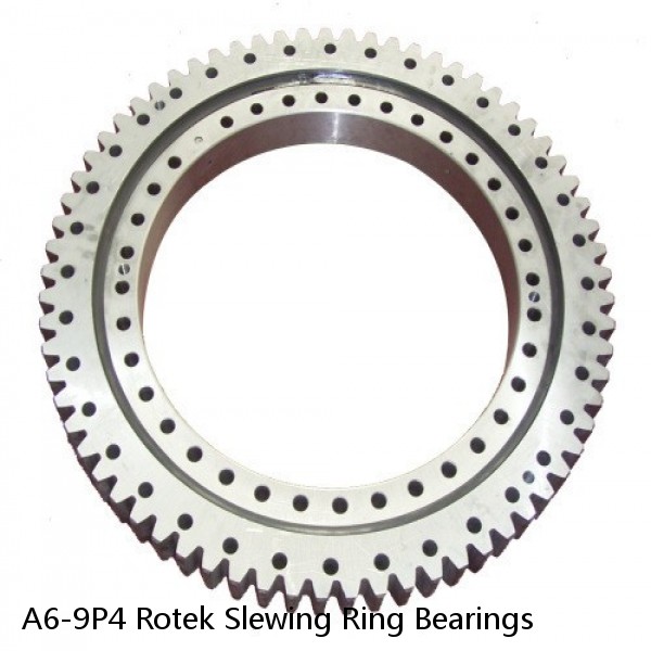 A6-9P4 Rotek Slewing Ring Bearings