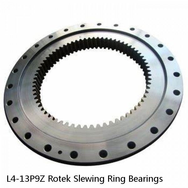 L4-13P9Z Rotek Slewing Ring Bearings