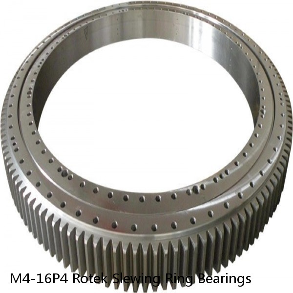 M4-16P4 Rotek Slewing Ring Bearings