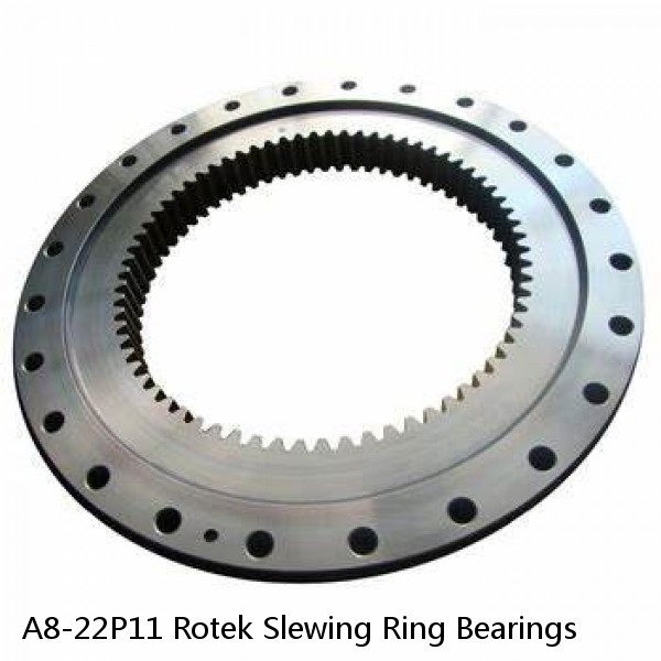 A8-22P11 Rotek Slewing Ring Bearings