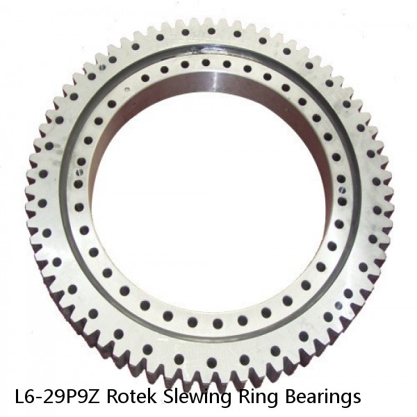 L6-29P9Z Rotek Slewing Ring Bearings