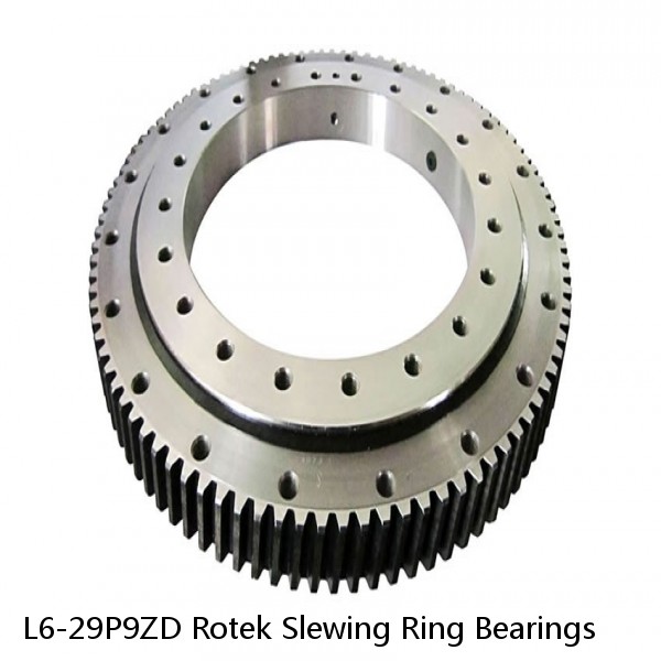 L6-29P9ZD Rotek Slewing Ring Bearings