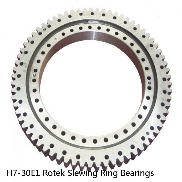 H7-30E1 Rotek Slewing Ring Bearings