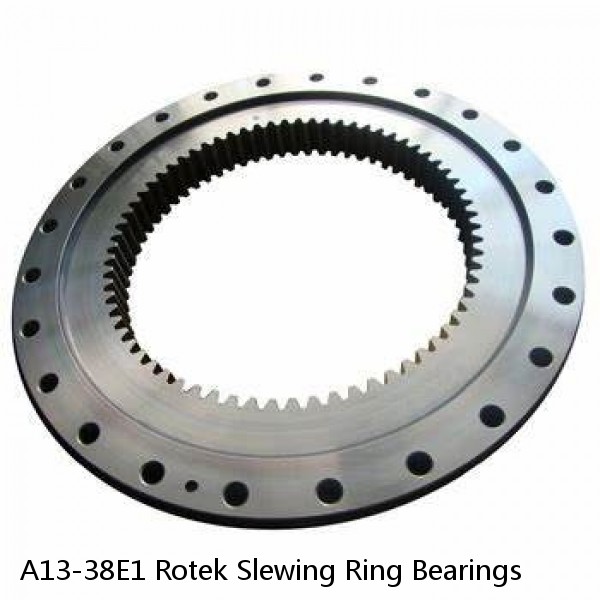 A13-38E1 Rotek Slewing Ring Bearings