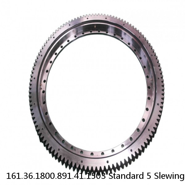 161.36.1800.891.41.1503 Standard 5 Slewing Ring Bearings